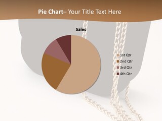 Evening Purse PowerPoint Template