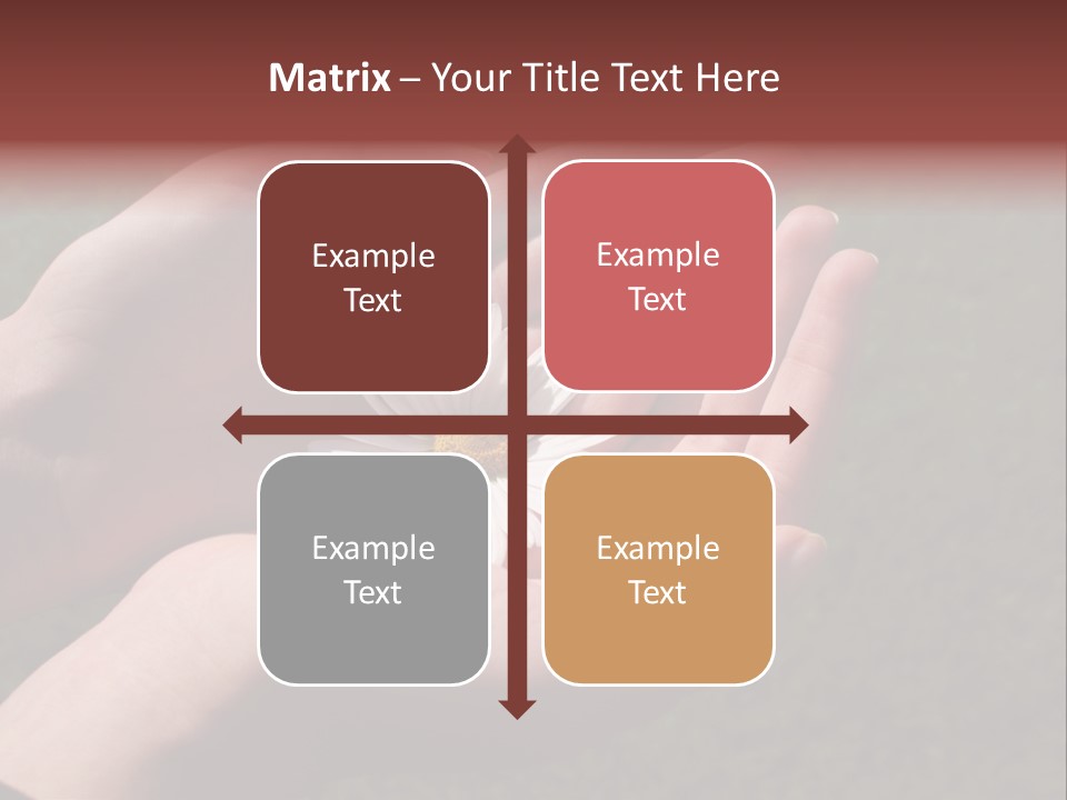 Fastened Eyes PowerPoint Template