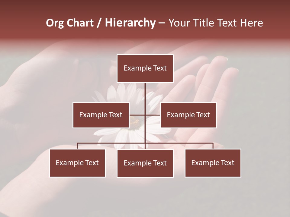 Fastened Eyes PowerPoint Template