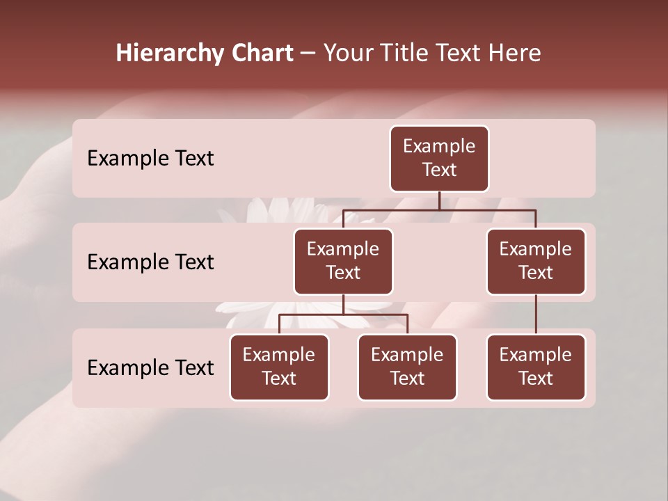 Fastened Eyes PowerPoint Template