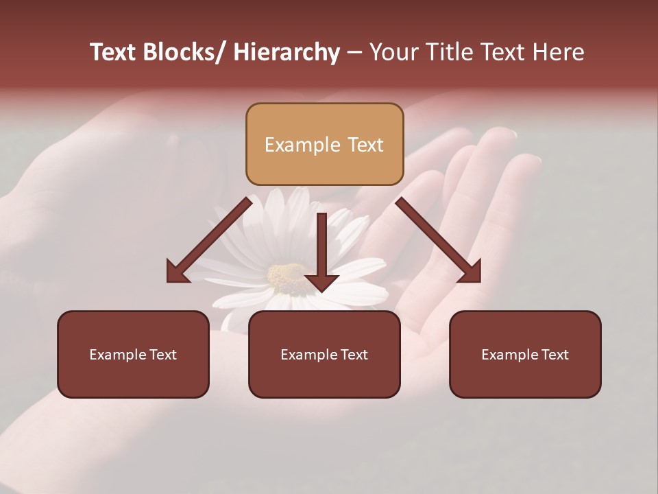 Fastened Eyes PowerPoint Template