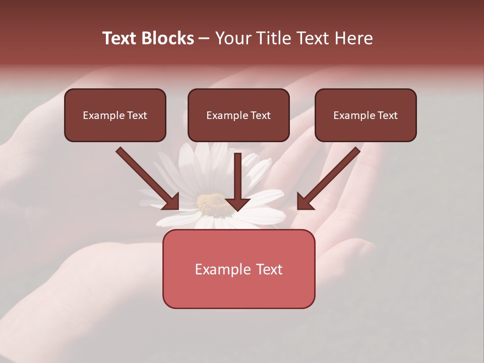 Fastened Eyes PowerPoint Template