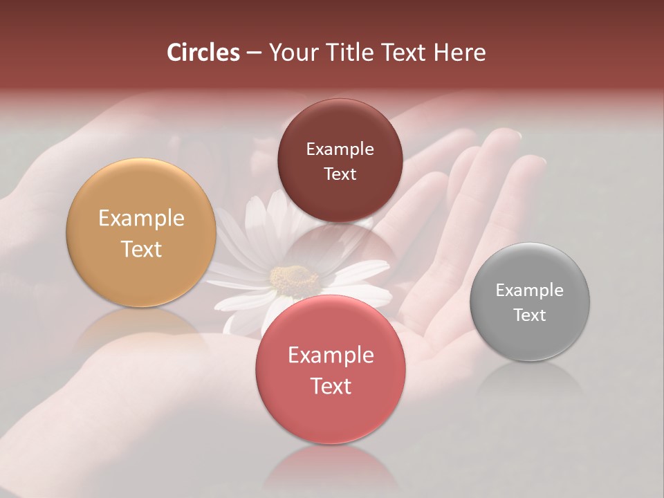 Fastened Eyes PowerPoint Template