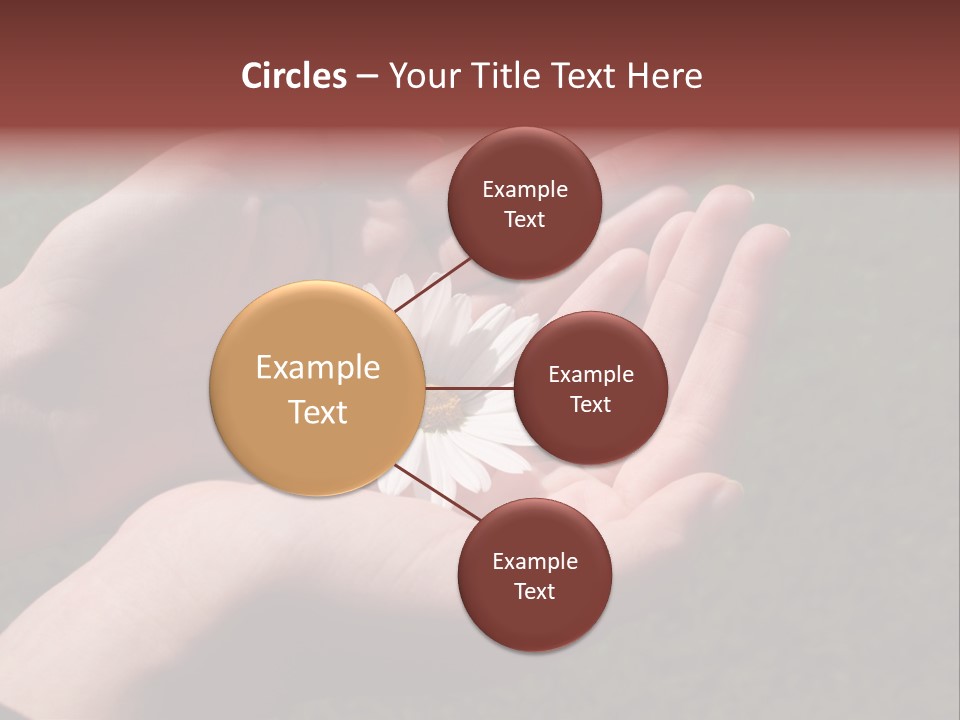 Fastened Eyes PowerPoint Template