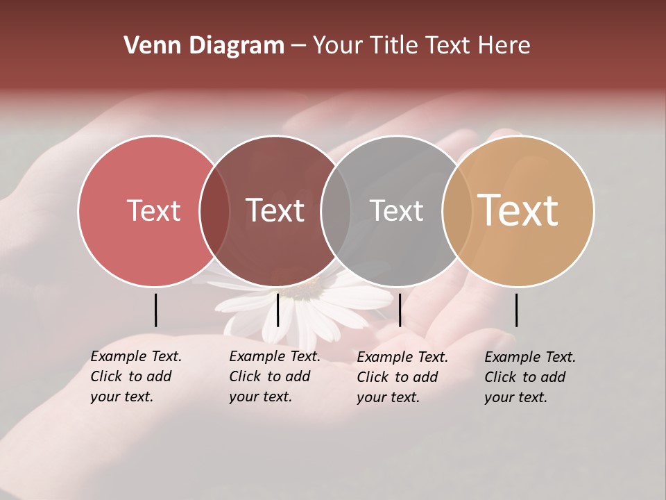 Fastened Eyes PowerPoint Template