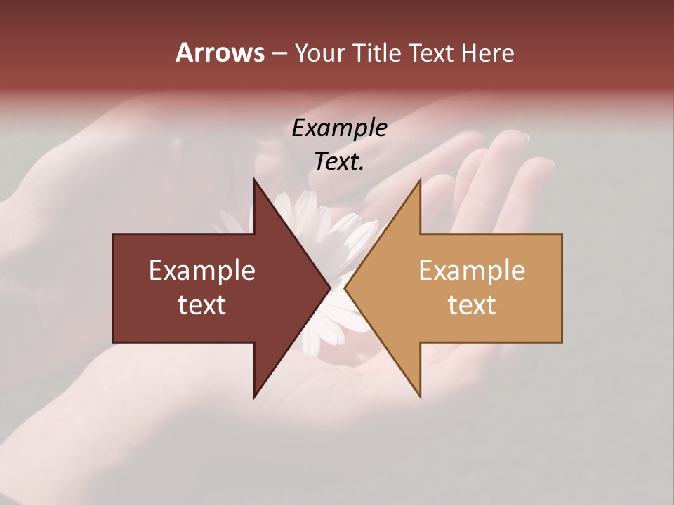 Fastened Eyes PowerPoint Template