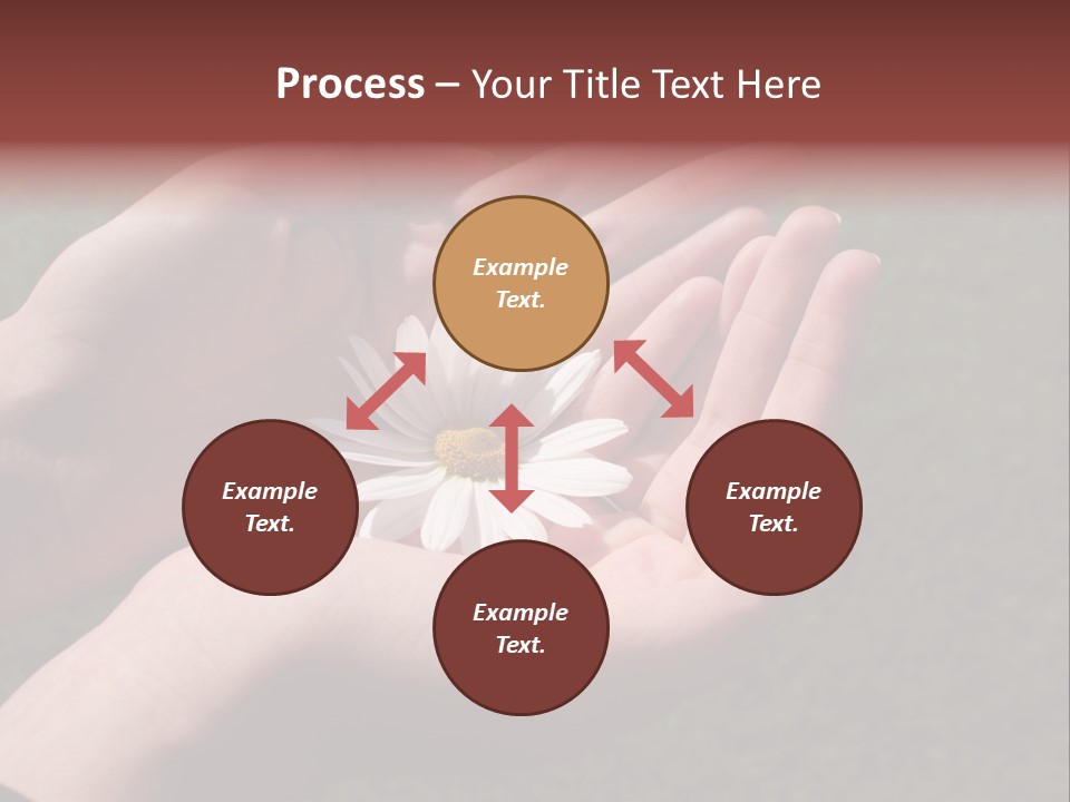 Fastened Eyes PowerPoint Template