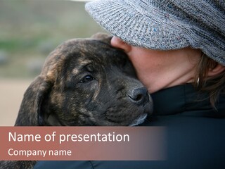 A Girl In A Hat Holding A Baby Mastiff Puppy PowerPoint Template