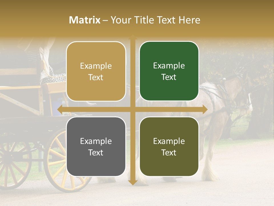 Horse And Wagon Ride, Hunter Valley, Australia PowerPoint Template