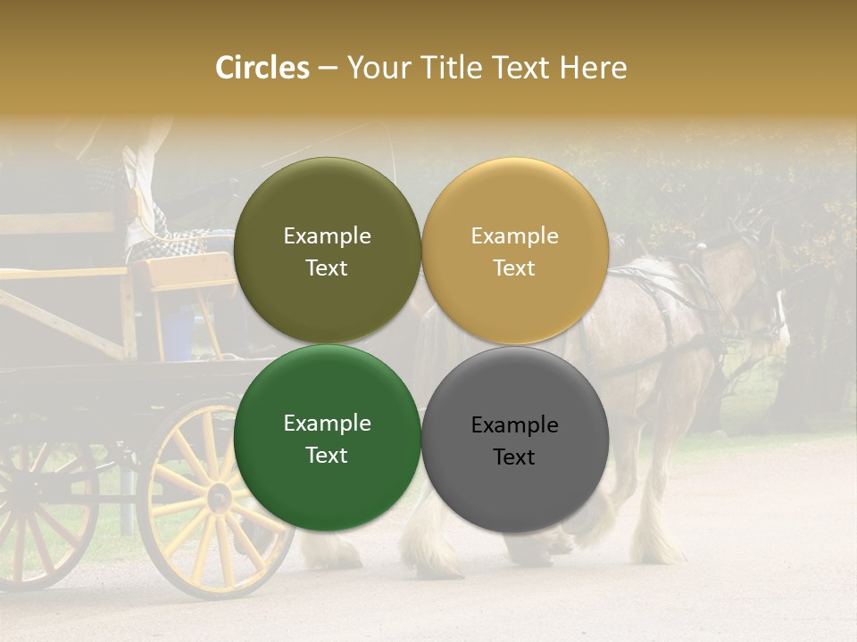 Horse And Wagon Ride, Hunter Valley, Australia PowerPoint Template