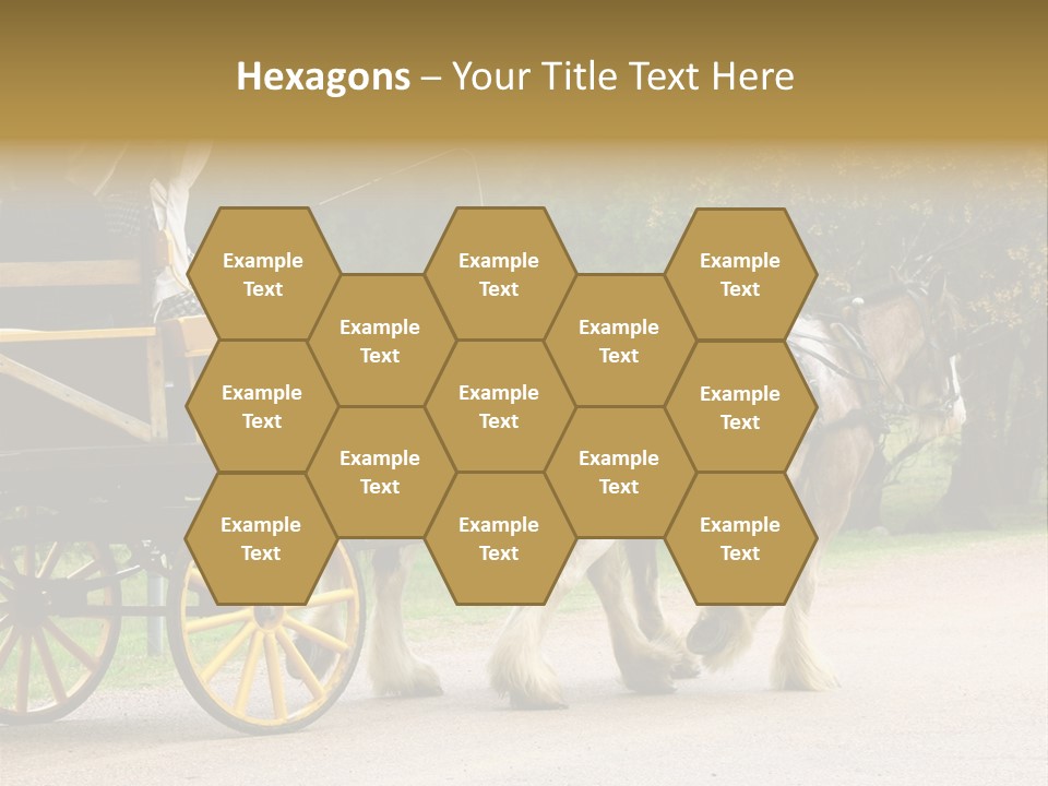 Horse And Wagon Ride, Hunter Valley, Australia PowerPoint Template
