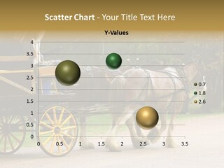 Horse And Wagon Ride, Hunter Valley, Australia PowerPoint Template