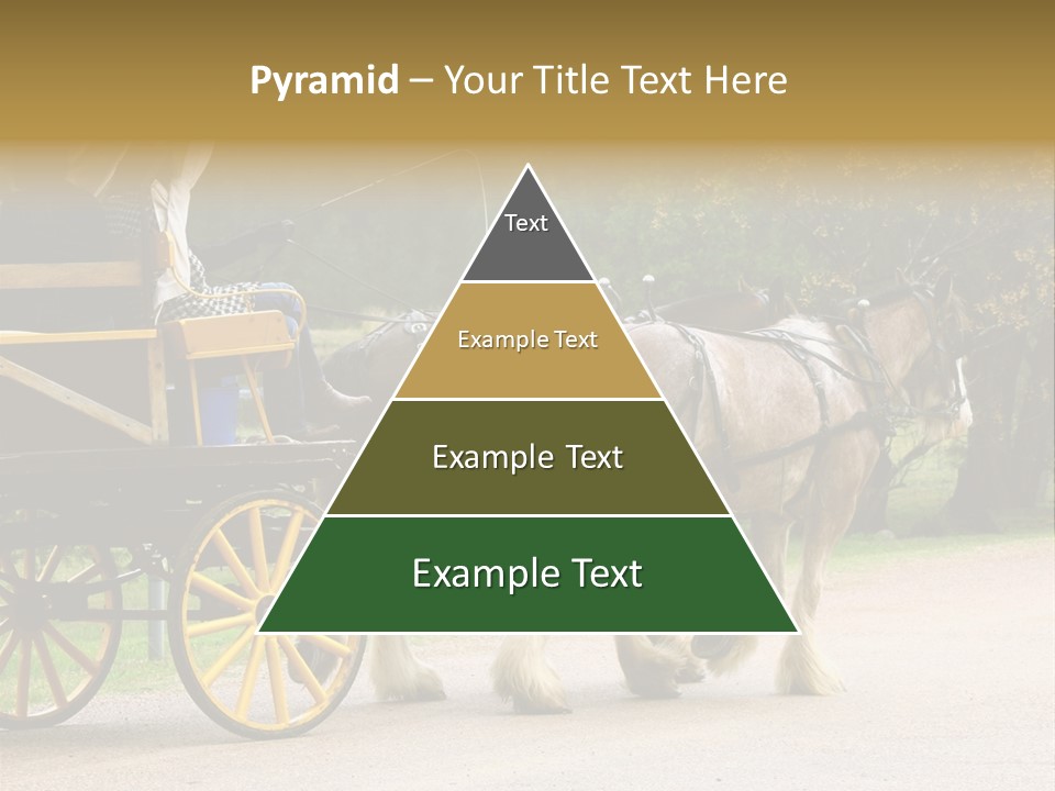 Horse And Wagon Ride, Hunter Valley, Australia PowerPoint Template