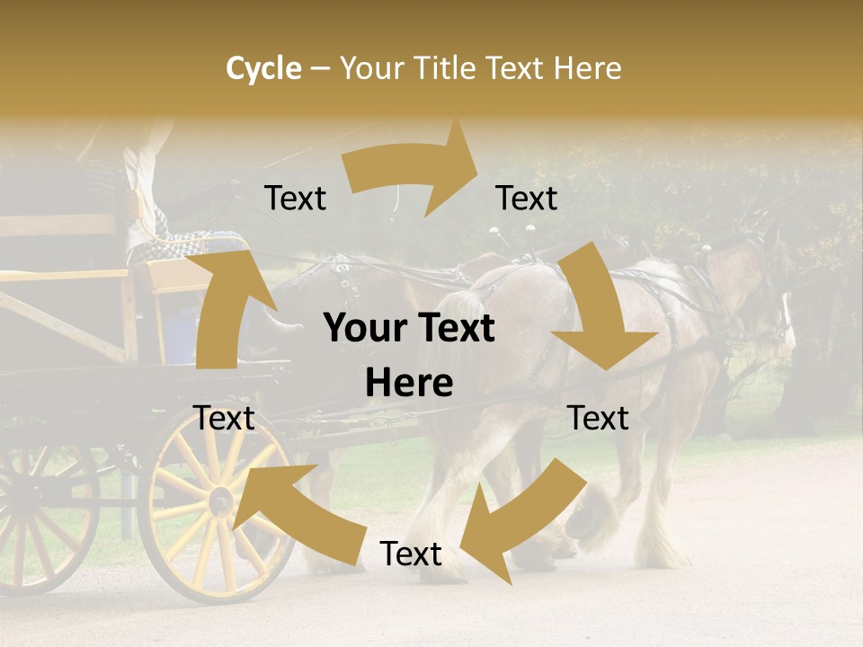 Horse And Wagon Ride, Hunter Valley, Australia PowerPoint Template