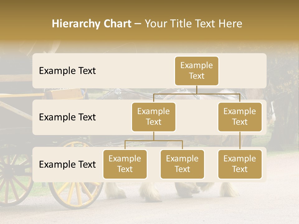 Horse And Wagon Ride, Hunter Valley, Australia PowerPoint Template