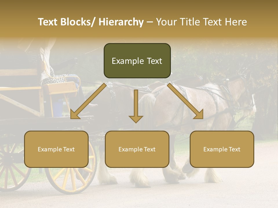 Horse And Wagon Ride, Hunter Valley, Australia PowerPoint Template