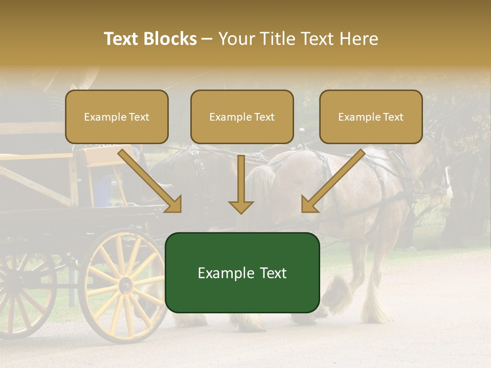 Horse And Wagon Ride, Hunter Valley, Australia PowerPoint Template