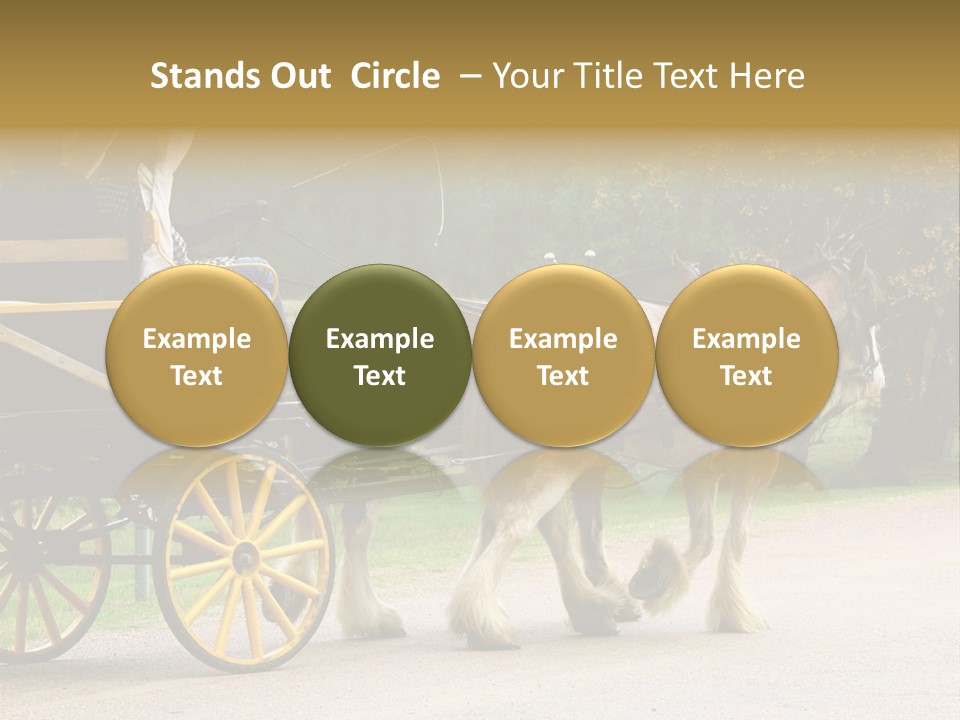 Horse And Wagon Ride, Hunter Valley, Australia PowerPoint Template