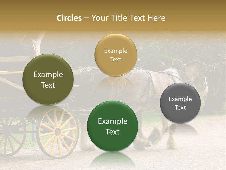 Horse And Wagon Ride, Hunter Valley, Australia PowerPoint Template