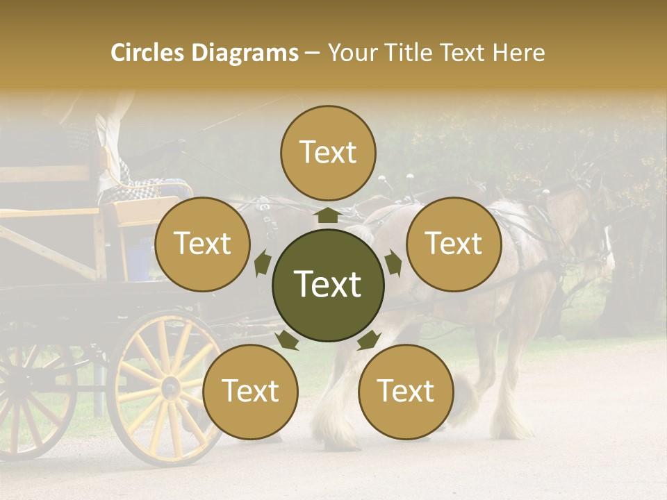 Horse And Wagon Ride, Hunter Valley, Australia PowerPoint Template