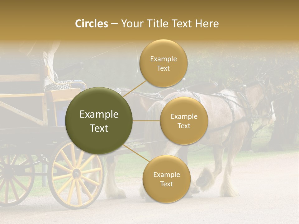 Horse And Wagon Ride, Hunter Valley, Australia PowerPoint Template