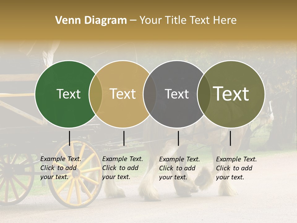 Horse And Wagon Ride, Hunter Valley, Australia PowerPoint Template