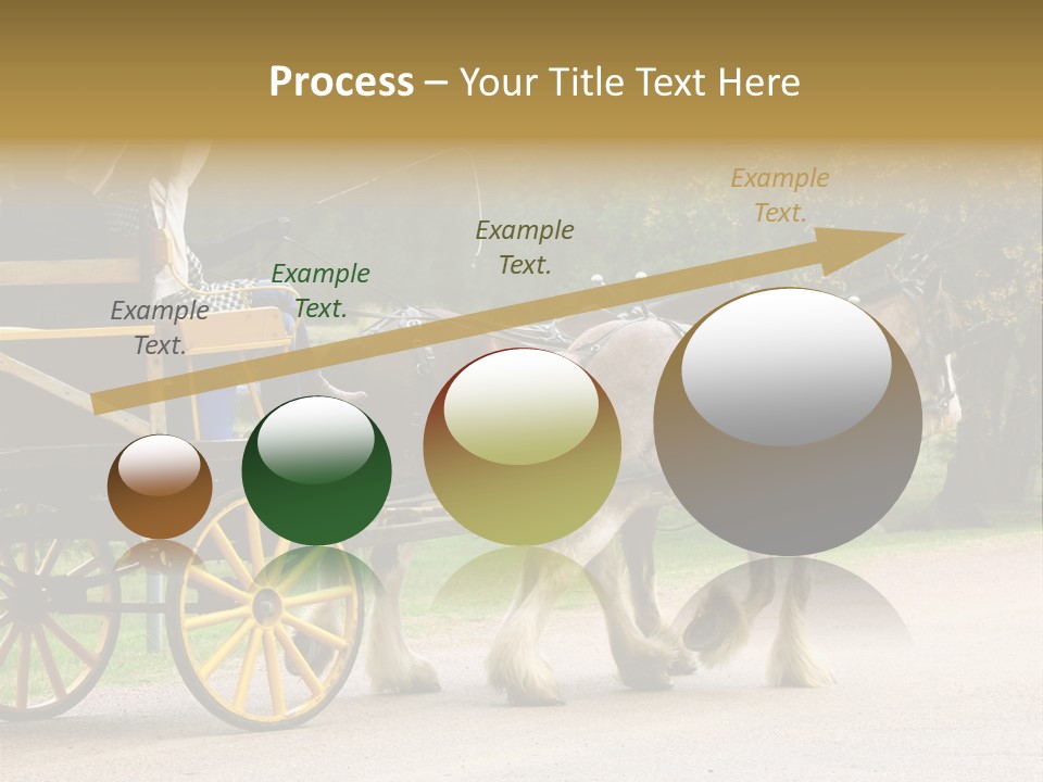 Horse And Wagon Ride, Hunter Valley, Australia PowerPoint Template