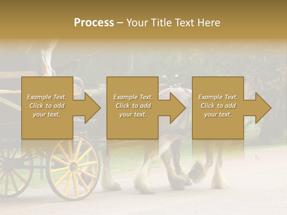 Horse And Wagon Ride, Hunter Valley, Australia PowerPoint Template