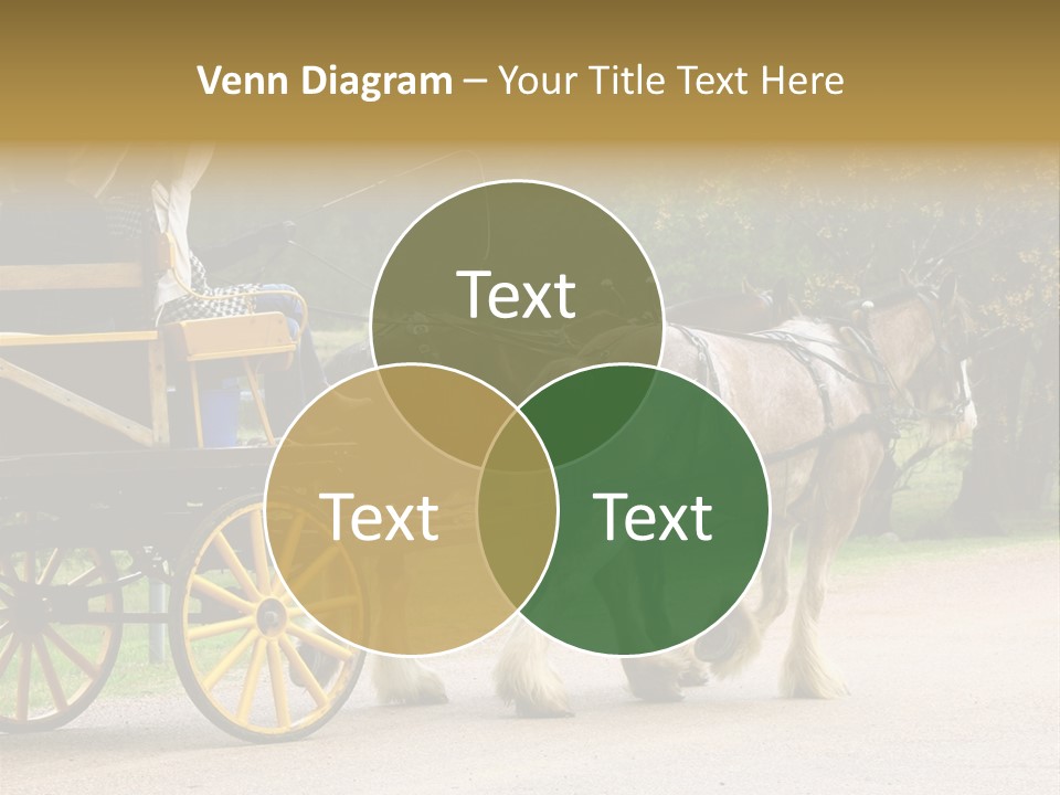 Horse And Wagon Ride, Hunter Valley, Australia PowerPoint Template