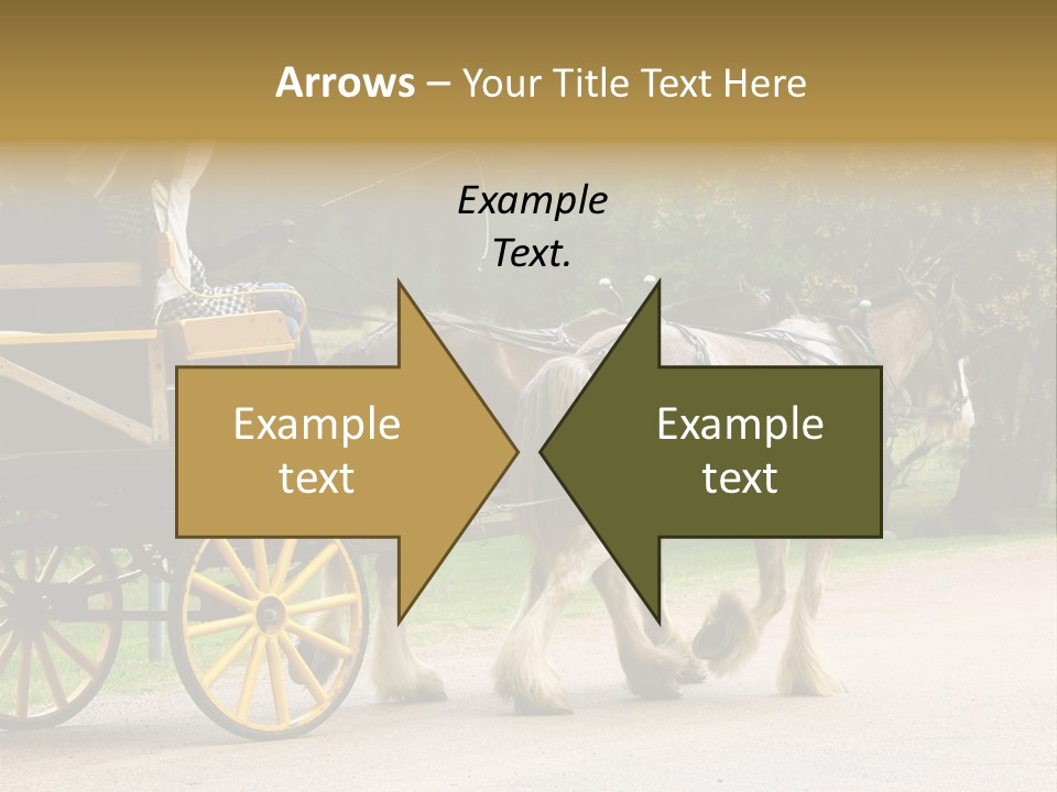 Horse And Wagon Ride, Hunter Valley, Australia PowerPoint Template