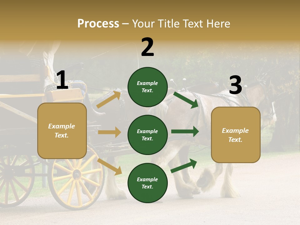Horse And Wagon Ride, Hunter Valley, Australia PowerPoint Template