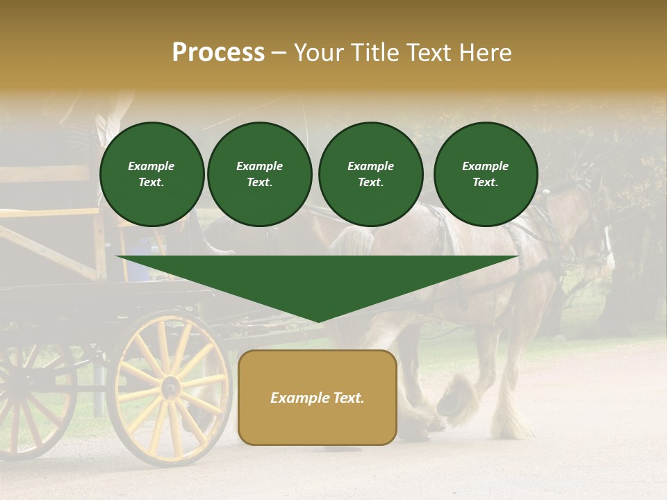 Horse And Wagon Ride, Hunter Valley, Australia PowerPoint Template