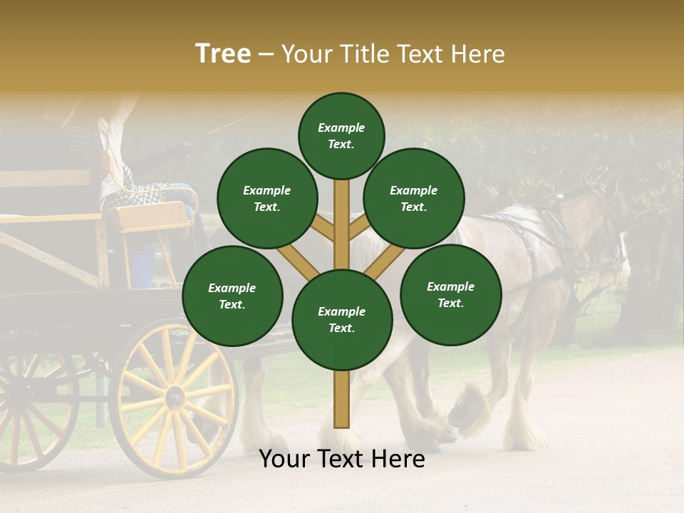Horse And Wagon Ride, Hunter Valley, Australia PowerPoint Template