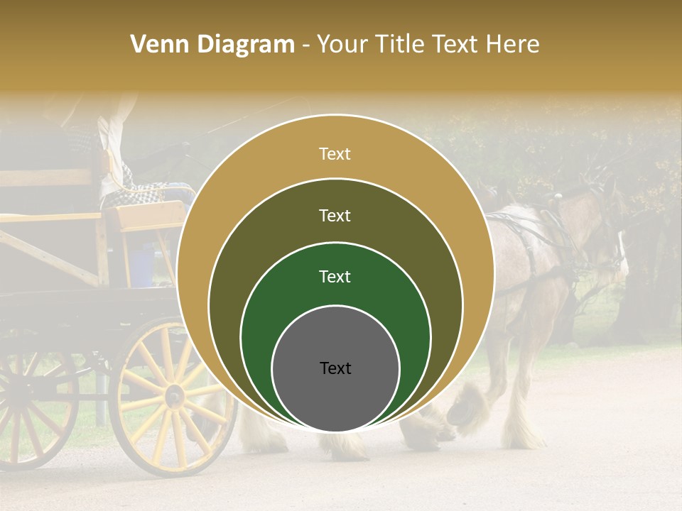 Horse And Wagon Ride, Hunter Valley, Australia PowerPoint Template