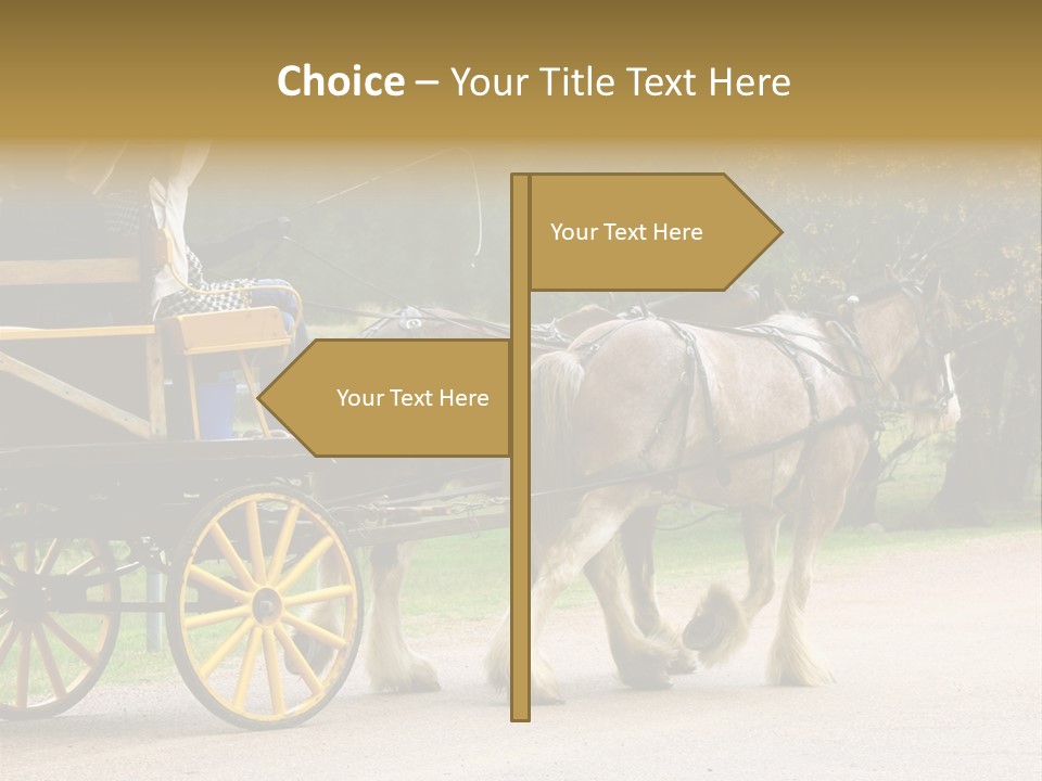 Horse And Wagon Ride, Hunter Valley, Australia PowerPoint Template