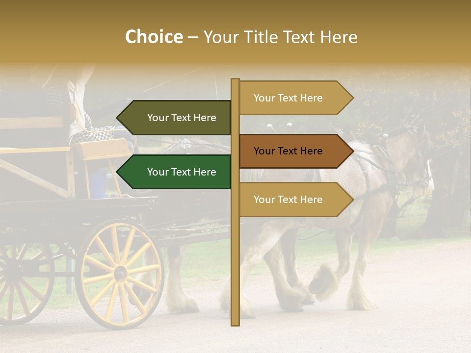 Horse And Wagon Ride, Hunter Valley, Australia PowerPoint Template