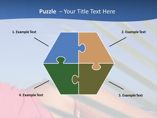 Woman In Kaftan On The Beach With Palm Foliage Foreground PowerPoint Template