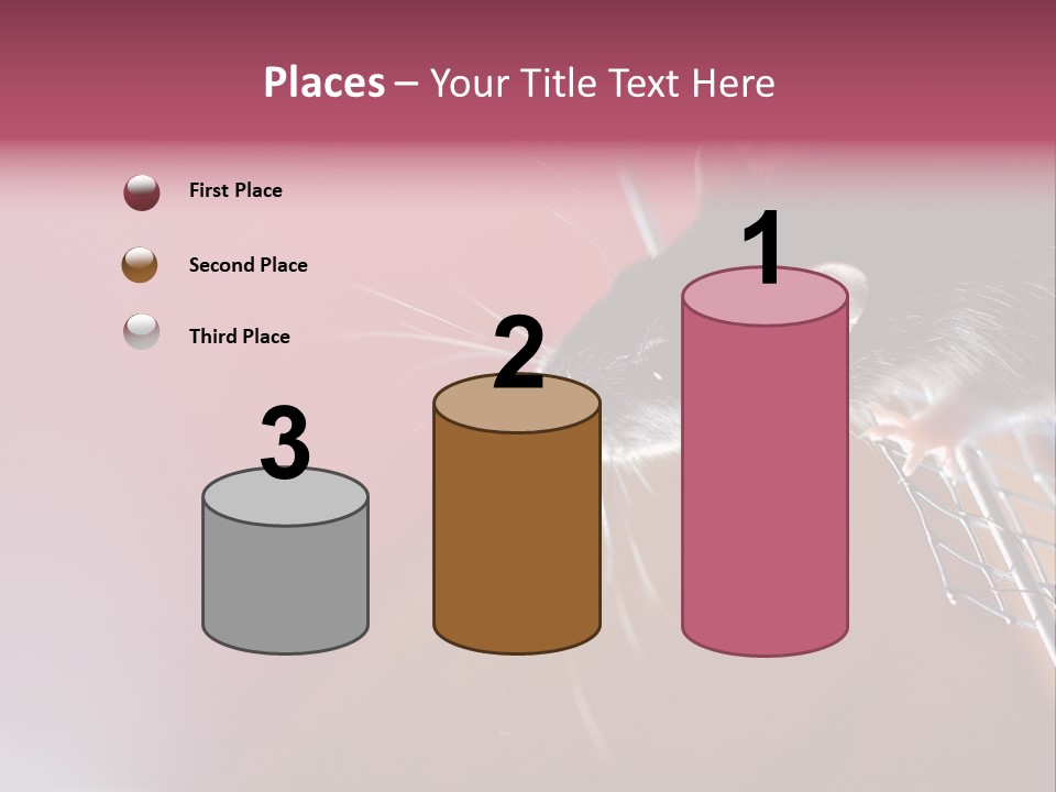 Greek Orthodox Church In Nicosia PowerPoint Template