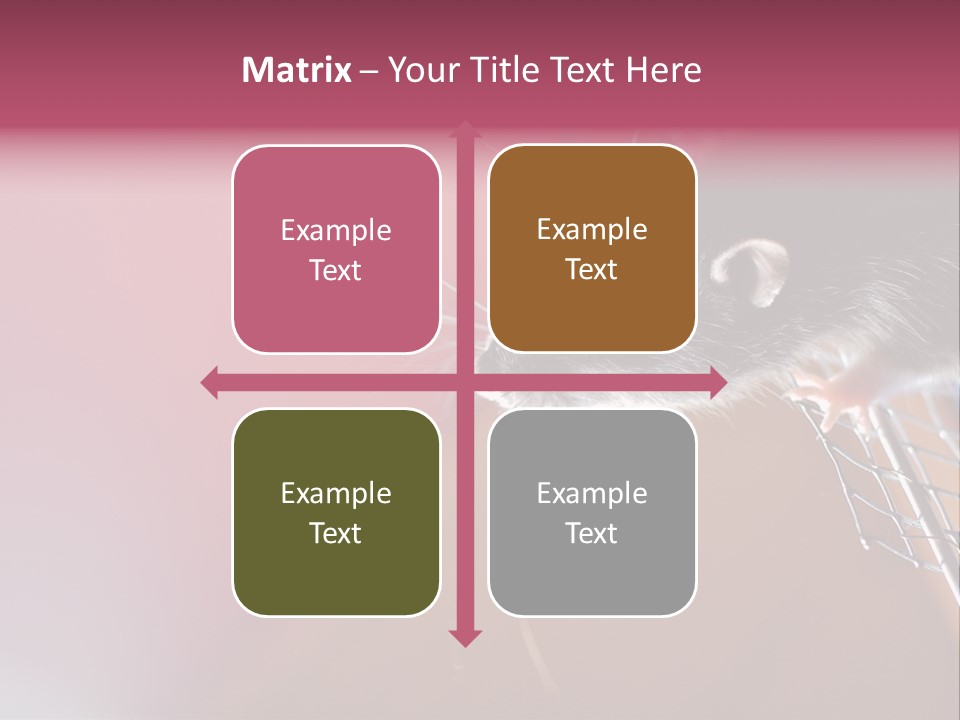 Greek Orthodox Church In Nicosia PowerPoint Template