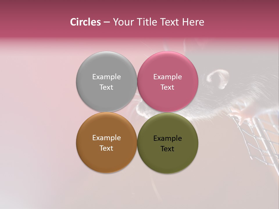 Greek Orthodox Church In Nicosia PowerPoint Template