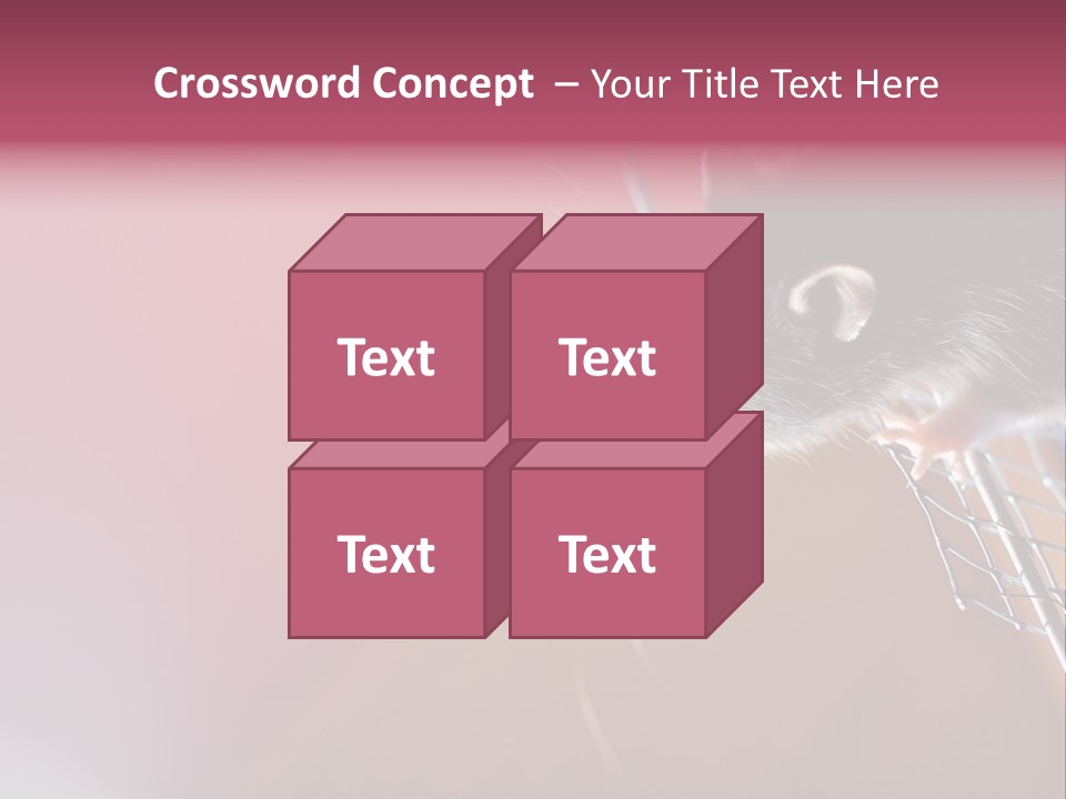 Greek Orthodox Church In Nicosia PowerPoint Template