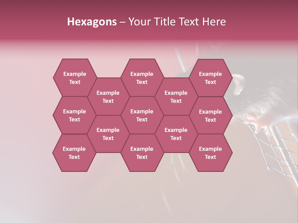 Greek Orthodox Church In Nicosia PowerPoint Template