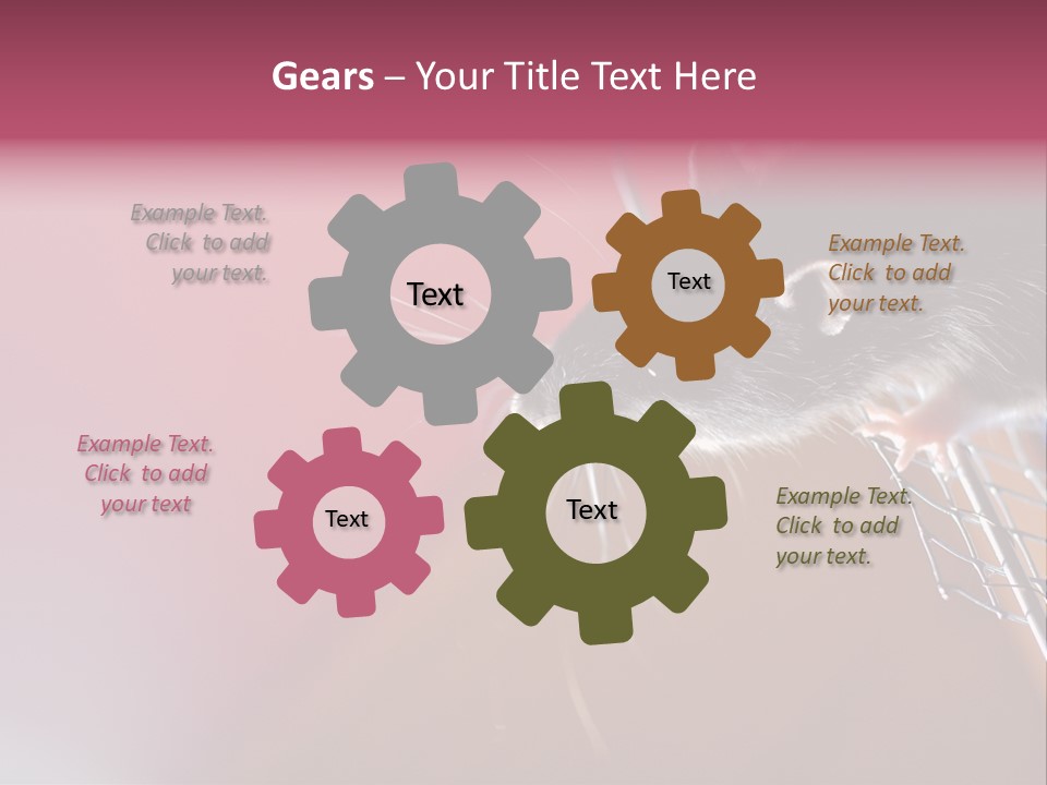 Greek Orthodox Church In Nicosia PowerPoint Template