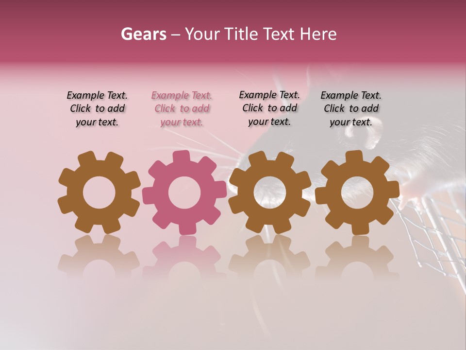 Greek Orthodox Church In Nicosia PowerPoint Template