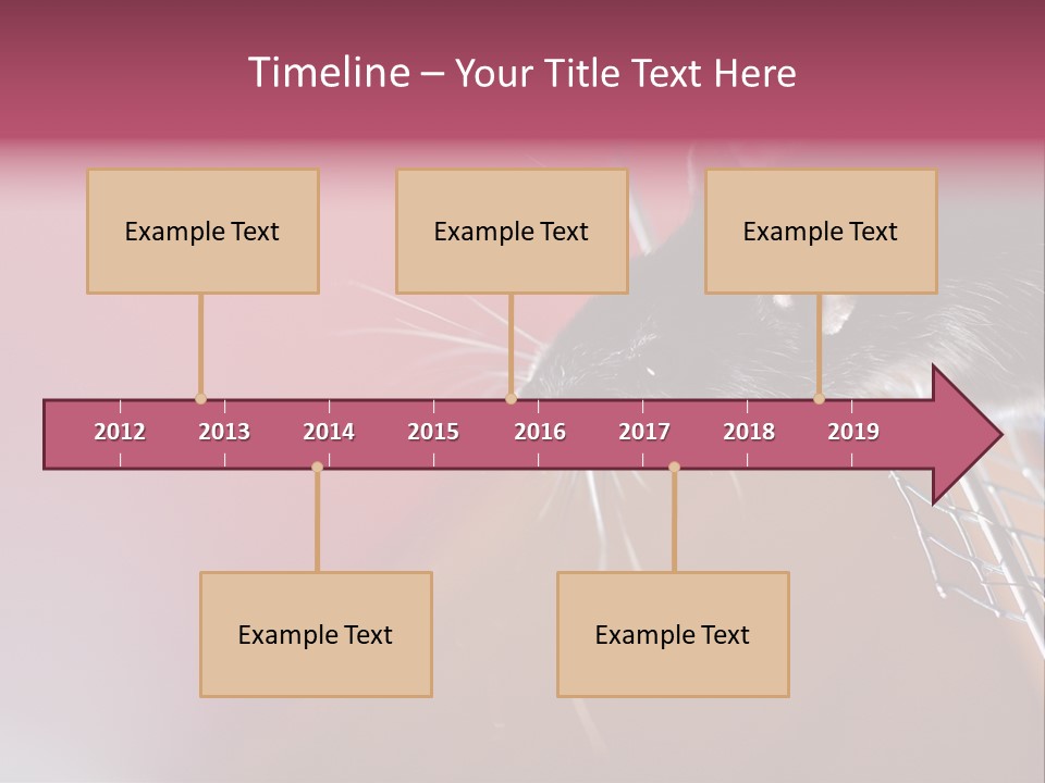 Greek Orthodox Church In Nicosia PowerPoint Template