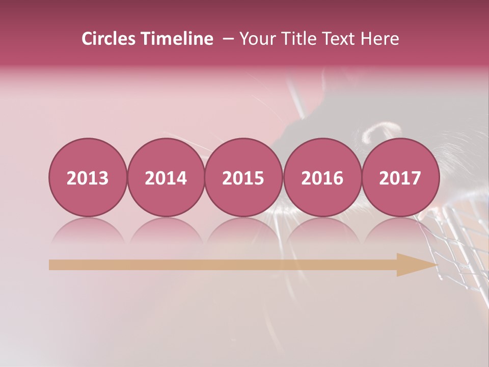 Greek Orthodox Church In Nicosia PowerPoint Template