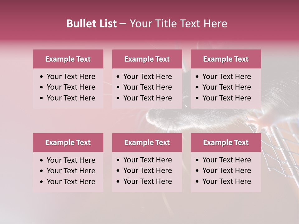 Greek Orthodox Church In Nicosia PowerPoint Template