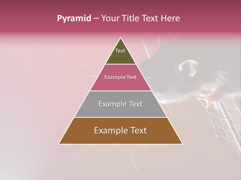 Greek Orthodox Church In Nicosia PowerPoint Template