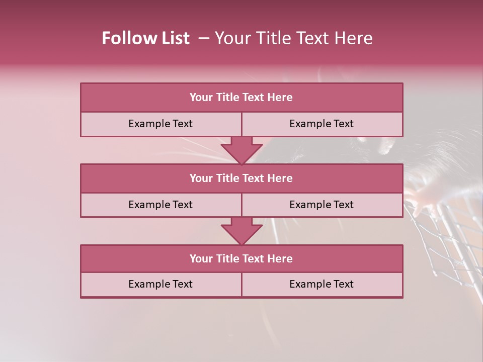 Greek Orthodox Church In Nicosia PowerPoint Template