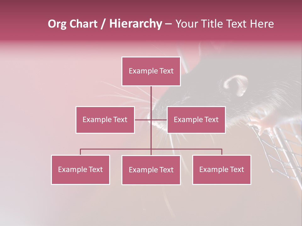 Greek Orthodox Church In Nicosia PowerPoint Template